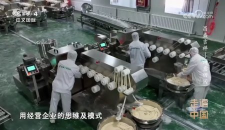 手工掛面生產(chǎn)迎來“智造”革命！海科佳如何用自動(dòng)化生產(chǎn)線破解千年工藝難題？